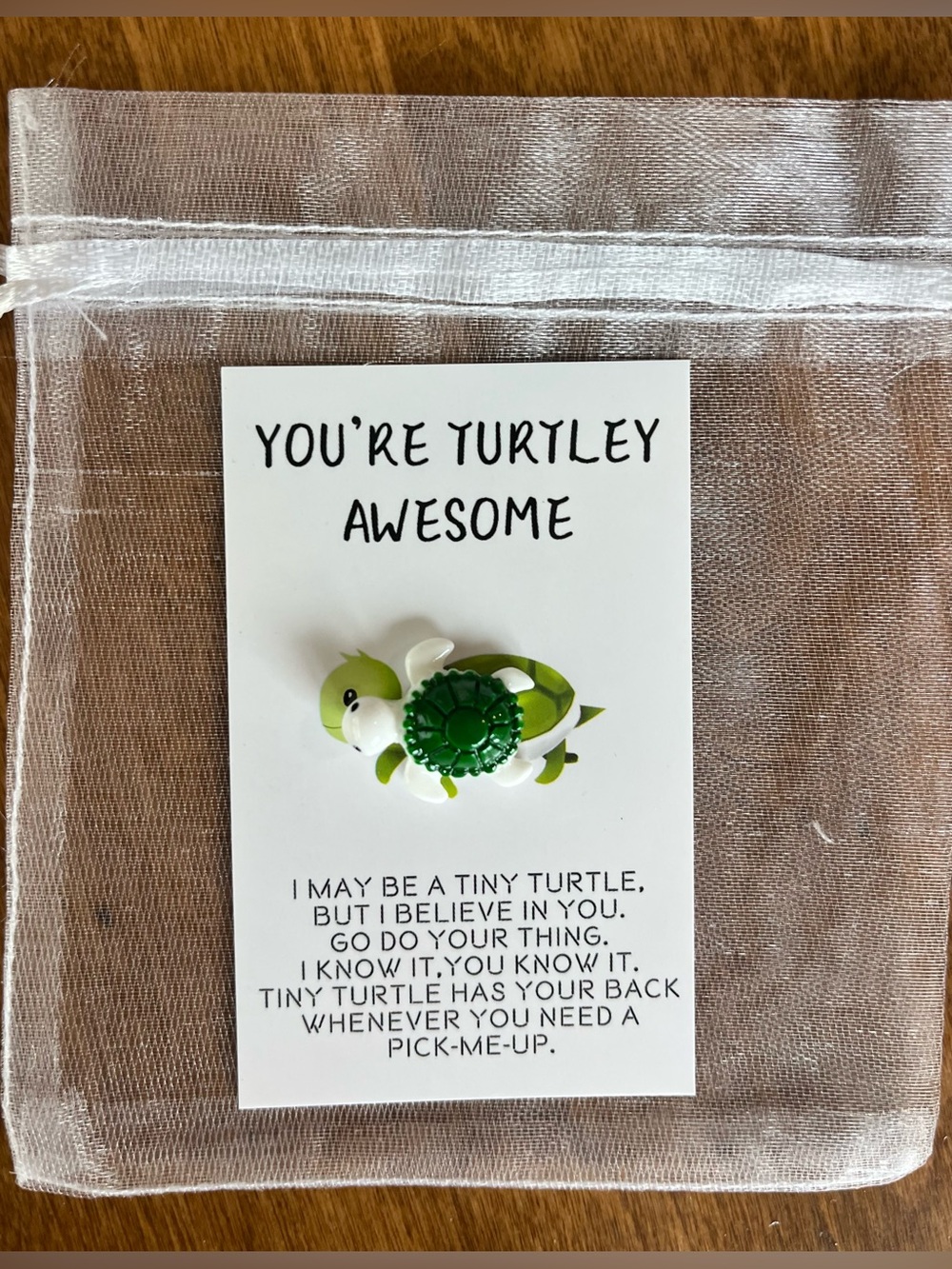 QTY 12 Turtle Motivational Card with Tiny Turtle NEW